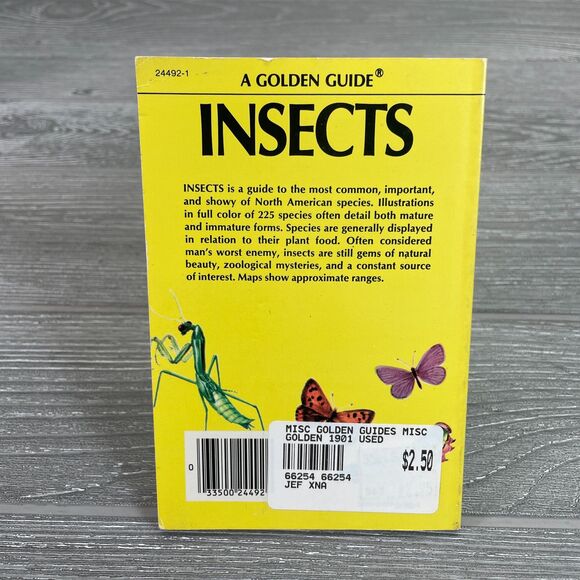 Vintage 1950s Golden Guide Insects Nature Book Detailed Realistic Illustrations - Picture 3 of 10